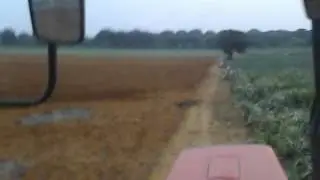 mtz825
