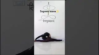 Sugreevasan (side split + Backbend) #yoga#sidesplit #backbend #asana