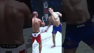 Borislav NIkolic vs Hamza edit