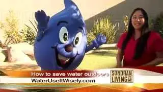 Water &ndash; Use It Wisely: Fall Irrigation Check Up