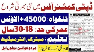 Deputy Commissioner Office Jobs 2025 &ndash; New Jobs In Pakistan Today | How to fill Application Form