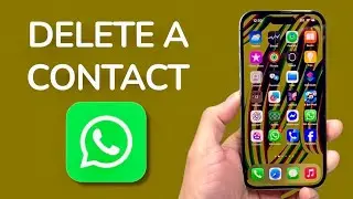 How To Delete A Contact On WhatsApp