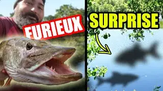 Un BROCHET furieux et 2 surprise en cherchant la perche !