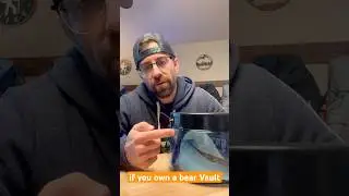 Bear Vault Must Have&hellip;.only $10