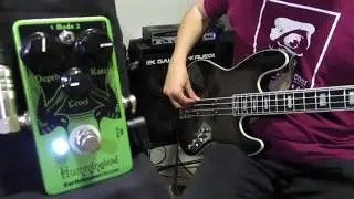 EarthQuaker Devices Hummingbird Tremolo Bass Demo w/ Maruszczyk Elwood Absolution 4A