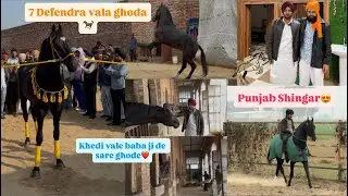 Punjab Shingar (7 defendra vala) Baba ji de sare ghode vakha dite ajj ❤️🐎 #viral #horselove #punjab 