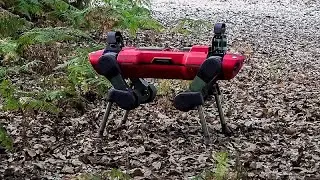 Environment patrol: These agile robots are keeping an eye on Italy&rsquo;s forests