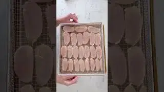 Chicken Jerky Chips #chicken #dogtreats #shorts #dogfood #healthydogtreats #doglover #airfryer