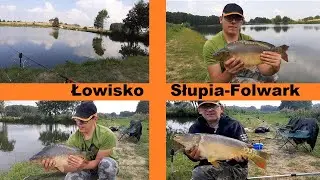 WIELKI KARP na Łowisku Komercyjnym Słupia-Folwark