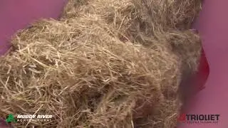 Trioliet HELLO good morning Solomix P 25 meter straw blower