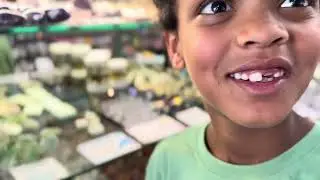 Homeschool Field Trip: Come explore a crystal shop with me! 