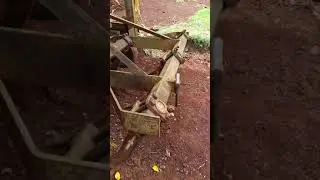 Diferença entre Subsolador, Escarificador, Grade aradora e Grade niveladora.