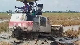 Rotavator maxxi 