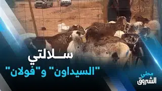 #أدرار: إقبال على سلالتي 