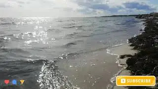 Relaxing on the Beach: Falsterbo-Skanor, Sweden
