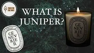 Diptyque Genevrier Juniper Candle Review | Is it Worth It? | TouchTheFireTwice