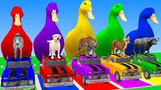 Long Slide Game With Cow Elephant Gorilla Hippopotamus Tiger 3d Animal Game Funny 3d Animals