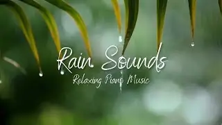 Relaxing Piano Music with Gentle Rain Sounds to Help You Fall Asleep Faster and Sleep Deeply