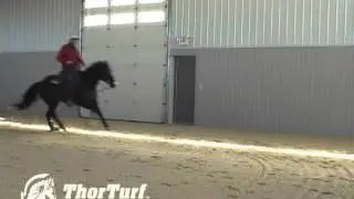ThorTurf Dustless Equestrian Footing