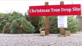 Fish enjoy underwater Christmas after trees recycled at Claytor Lake