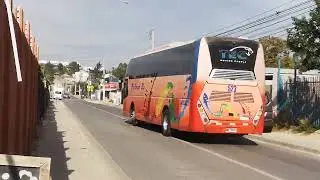 Buses de la empresa pullman bus y Hualp&eacute;n pasando por la Av. Las palmas 