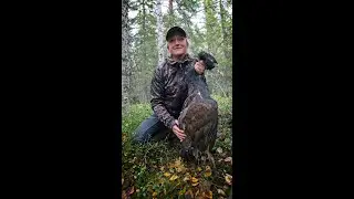 Skogsfågeljakt med norrbottenspetsen Credo