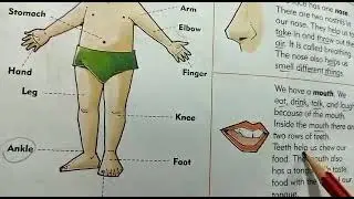Subject - EVS| lesson 1st| Body parts| Mentor Tutor Vlogger TV