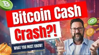 2024 BCH Price Prediction *UPDATE* | Technical Analysis | Crypto Bull Market