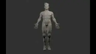Invincible Zsculpt