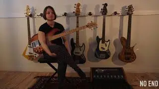 Sanne Verbogt - No End (Process Album) [audio]