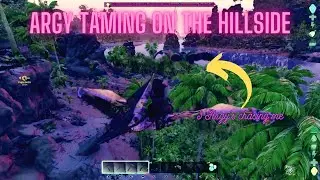 Argy Taming on the Hillside | ARK Survival Ascended: The Center