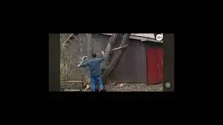 accidents and chainsaws
