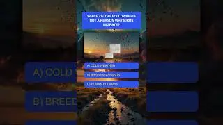 Which of the following is the main focus of the topic 'Beyond the Map? #trivia #shorts #shortsfeed