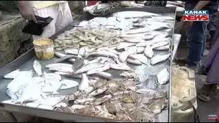Odisha Celebrates Chadakhai: People Flock Markets To Buy Non-Veg Items In Cuttack