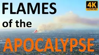 Cape Coral Wildfire Drone Footage 4K