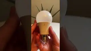 Sengled bluetooth smart bulbs are the best friends of Amazon Alexa?