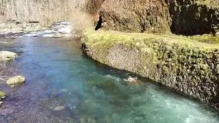 Eagle Creek - 21km Hike