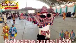 matrimonio de  Emerson y María los negritos de lircay el osito blanco 🐻‍❄️🐻‍❄️🤍