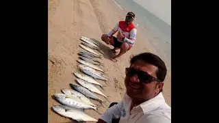 Qatar Inland Sea Shore Spinning & Jigging