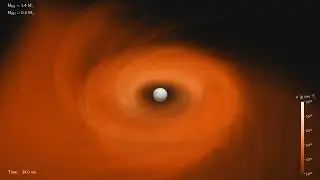 General-Relativistic Hydrodynamics Simulation of a Neutron Star -- Sub-Solar-Mass Black Hole Merger