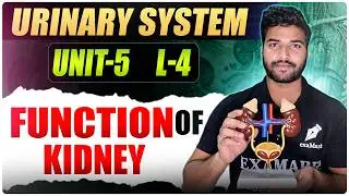 Function of Kidney ||L-4 ||urinary System || Anatomy and Physiology || Bsc Nursing || GNM 