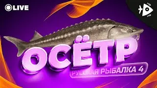 РР4 • ФАРМ МАРАФОН • РУССКАЯ РЫБАЛКА 4 • TROFIX
