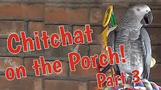 Chit Chat on the porch with Einstein  3️⃣ PART THREE  3️⃣