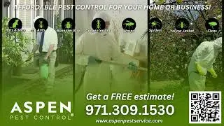 0:30 sec video ad sample created for Aspen Pest Control.