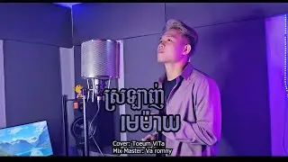 ស្រលាញ់មេម៉ាយ | Toeum Vita [ Music Cover ]