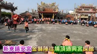 20210313新寮鎮安宮金獅陣往埔頂通興宮探館