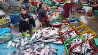 Amazing Second Site Distribute Alive Fish, Dry Fish, Seafood  & More Food - Morning Fish Market Show