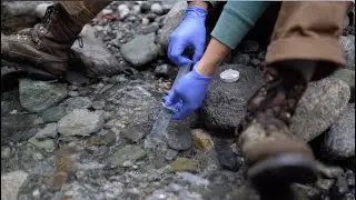 The Joseph Rossano Salmon Project