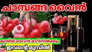 ചാമ്പക്ക വൈൻ ഇങ്ങനെ ഒന്ന് ഉണ്ടാക്കി നോക്കൂ | Chambakka wine | RedApple wine | HomeMade | LT DREAMS