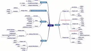 Body Fluids - Phlegm